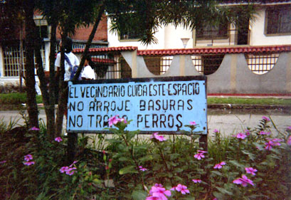 242-10.jpg