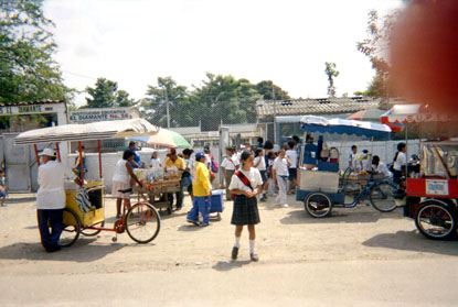 278-1.jpg
