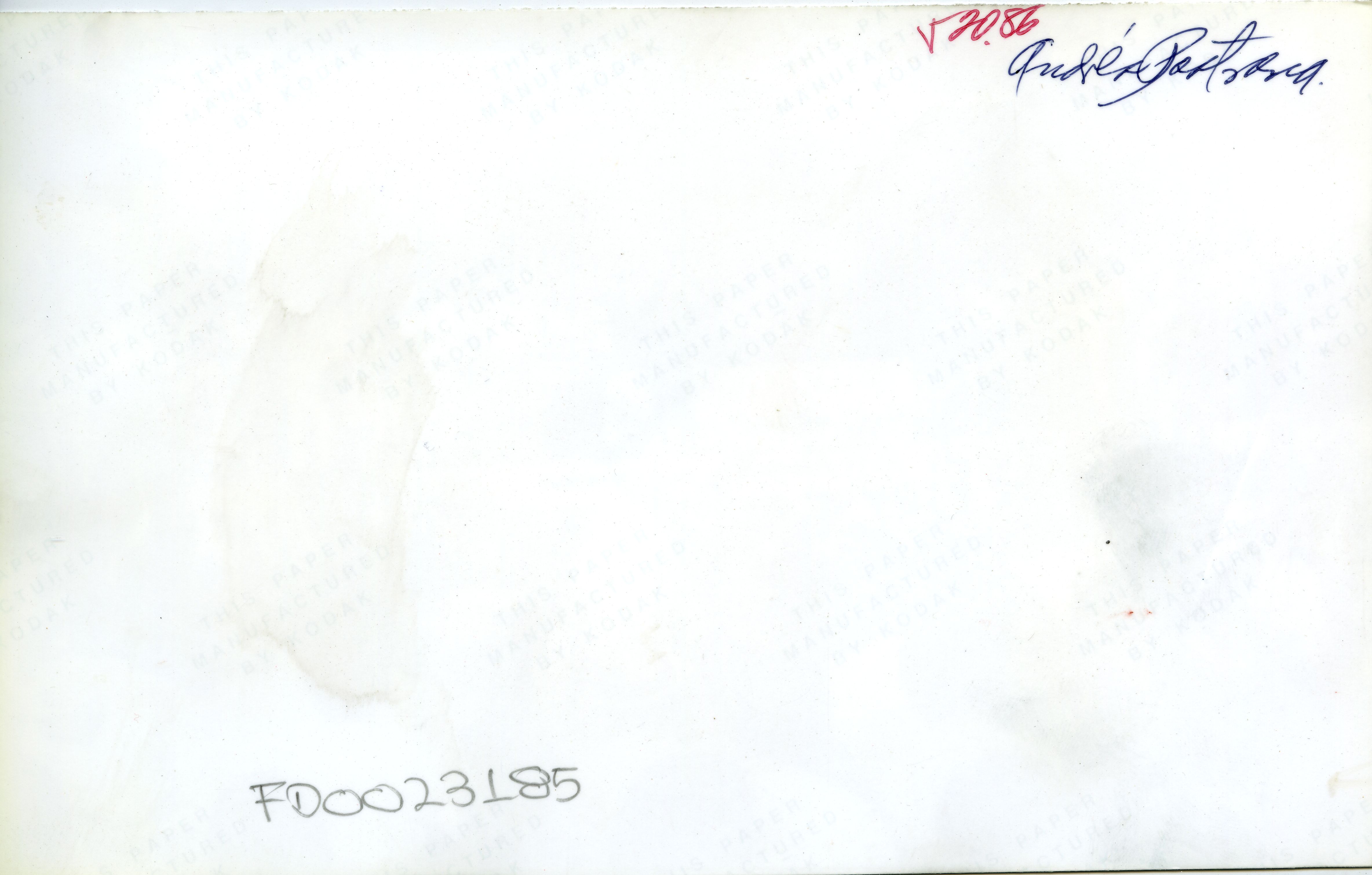 FDO023185A.jpg