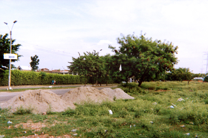 483-22.jpg