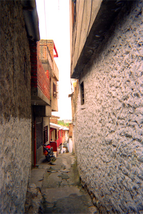 050-1.jpg