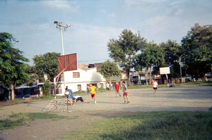 228-17.jpg
