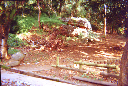 007-22.jpg