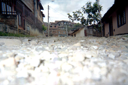 388-2.jpg