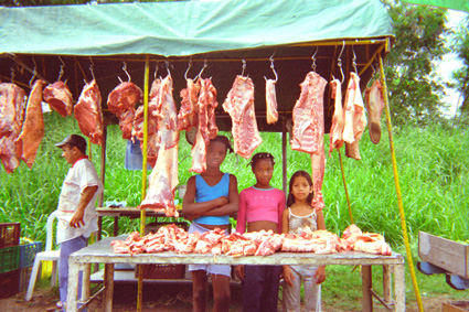 031-10.jpg