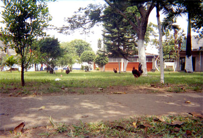 152-5.jpg