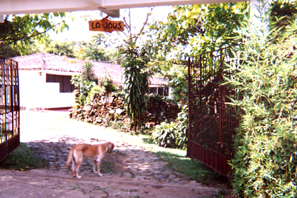 499-11.jpg