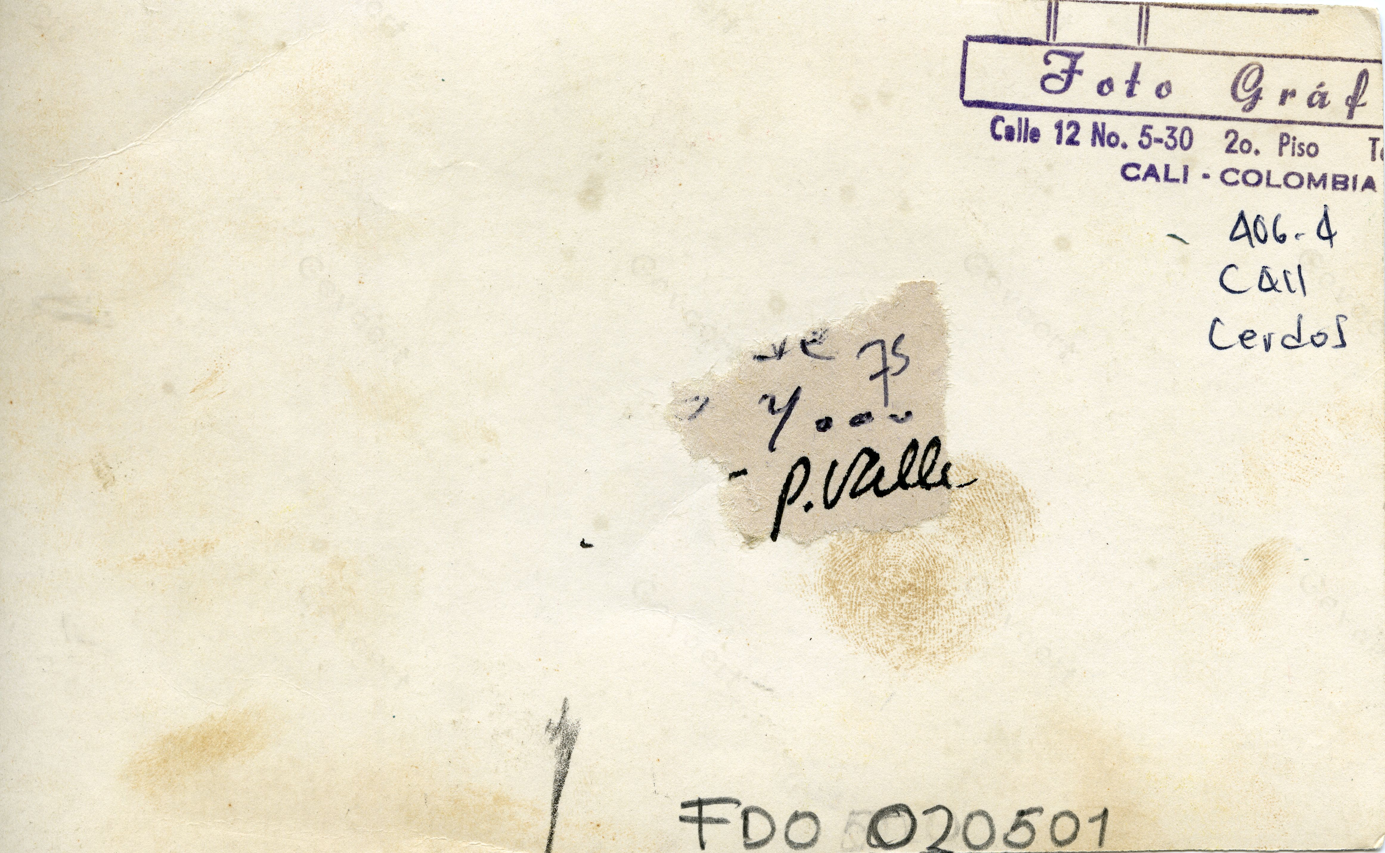 FDO020501A.jpg