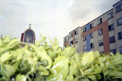 361-26.jpg