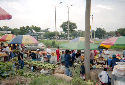 254-4.jpg