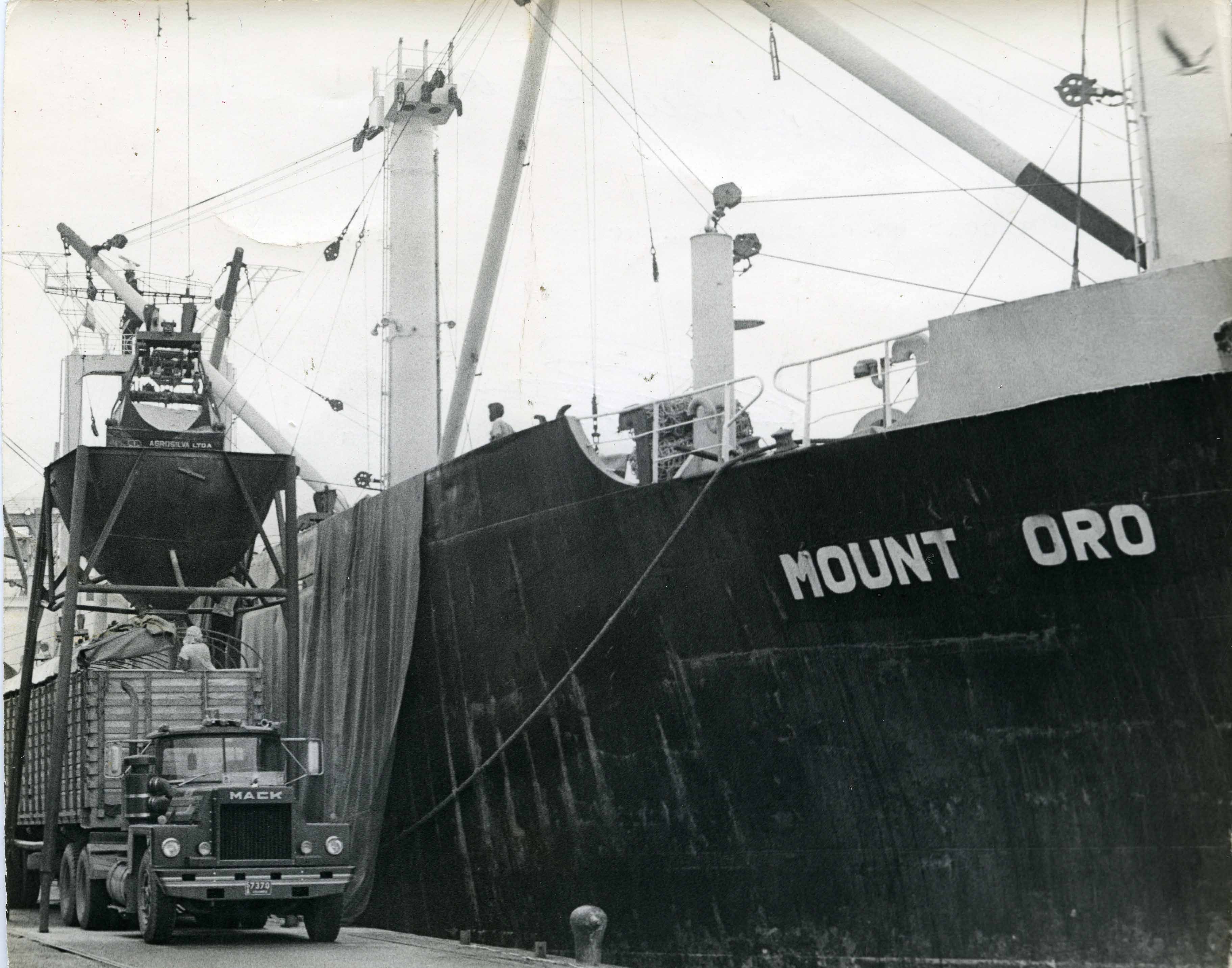 FDO08959.jpg
