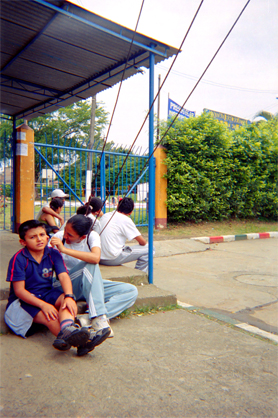 243-4.jpg