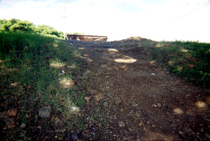 470-26.jpg