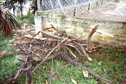 377-8.jpg