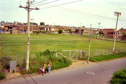 333-14.jpg