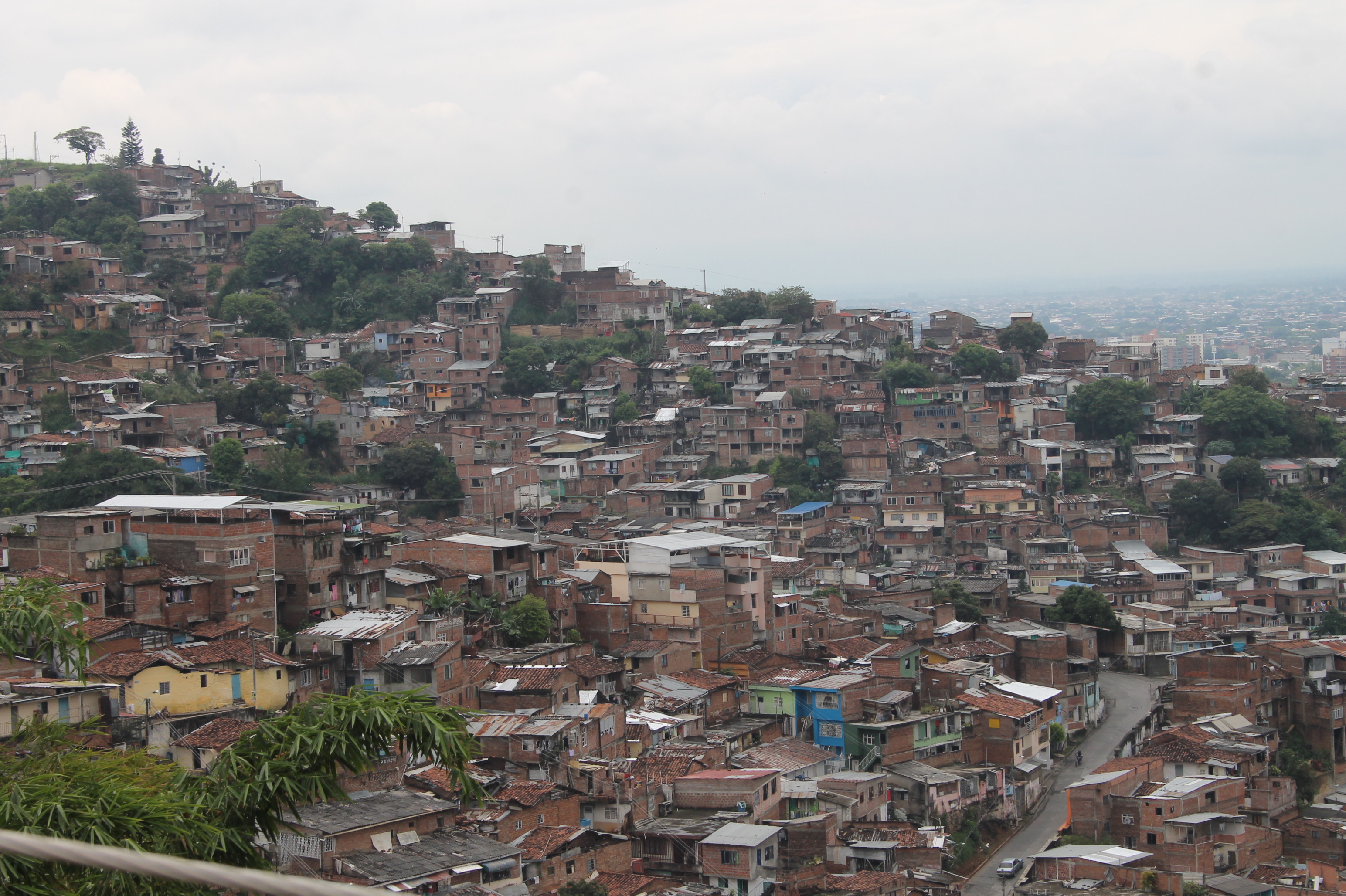 RFV001011.jpg