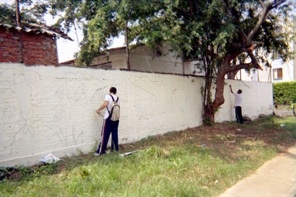 226-2.jpg