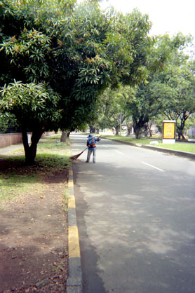 442-8.jpg
