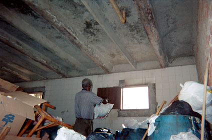 361-16.jpg