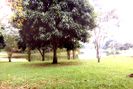 496-1.jpg