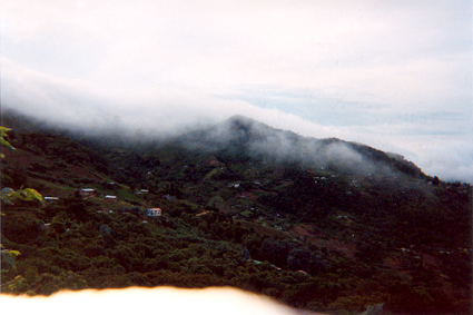 506-00.jpg