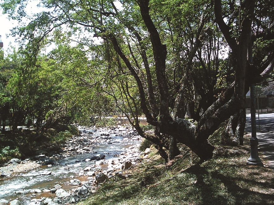 RFV001109.jpg