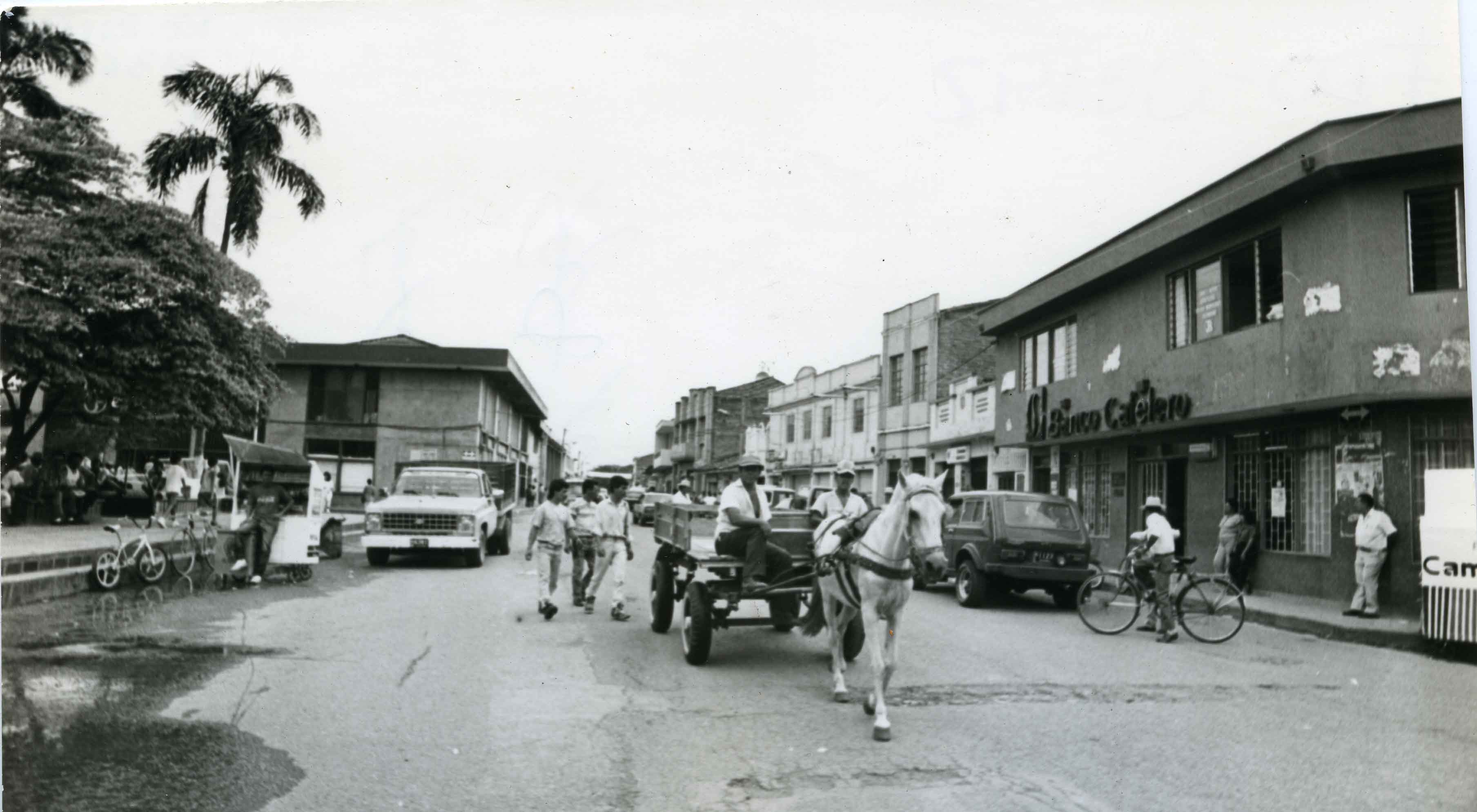 FDO08192.jpg