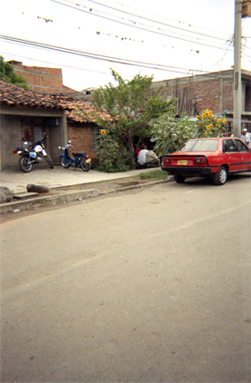 336-10.jpg