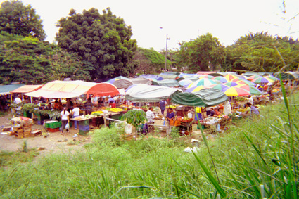 033-6.jpg