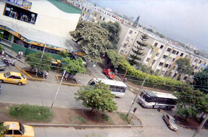 361-3.jpg