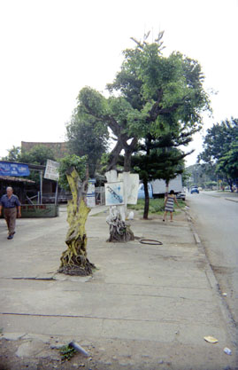 378-4.jpg