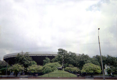 442-2.jpg