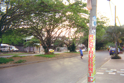 253-6.jpg