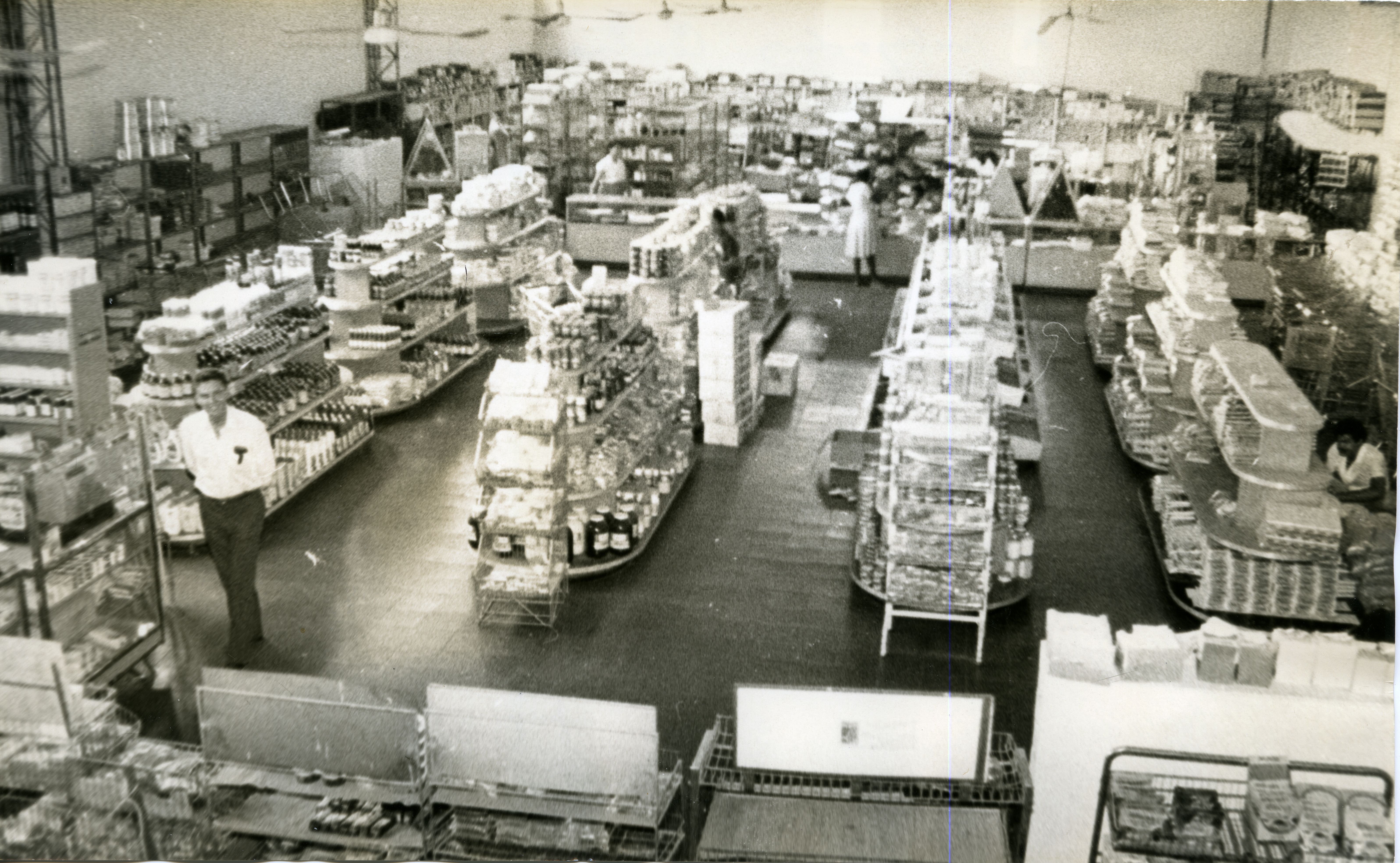 FDO021271.jpg