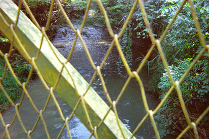 376-10.jpg