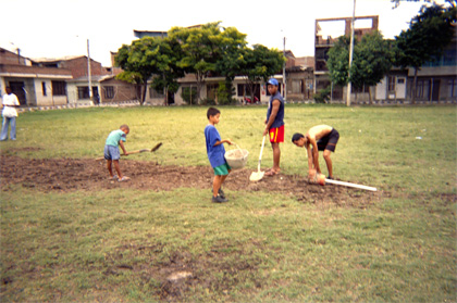 127-17.jpg