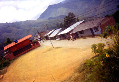 006-15.jpg