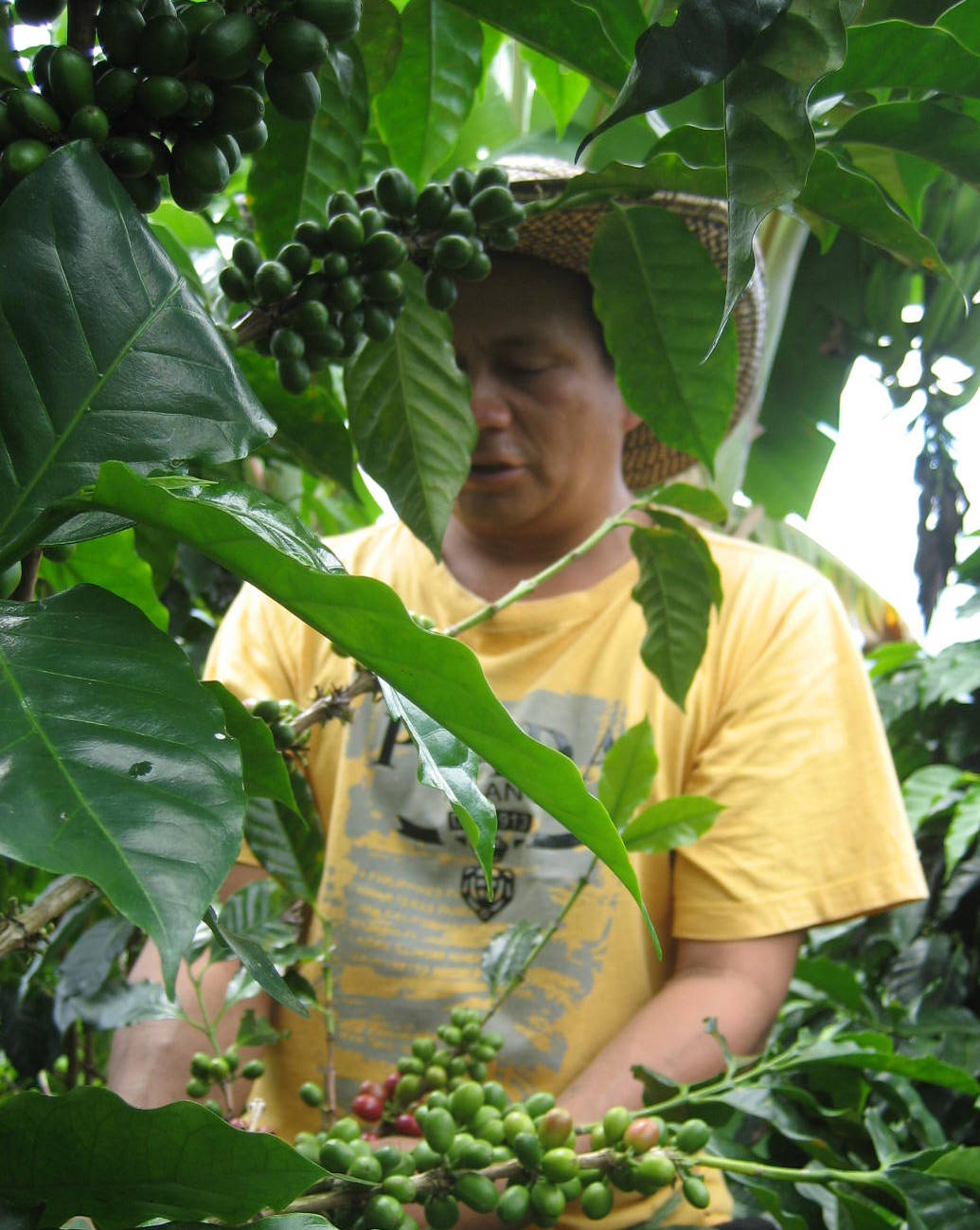 PCCC1555.jpg