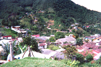 503-31.jpg