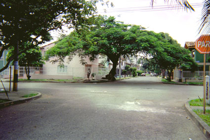 383-23.jpg