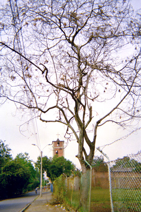 175-3.jpg