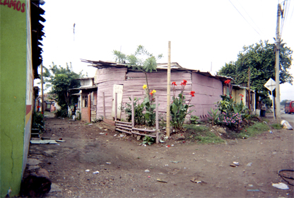 324-18.jpg