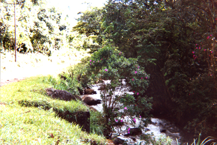 497-17.jpg