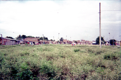 293-14.jpg