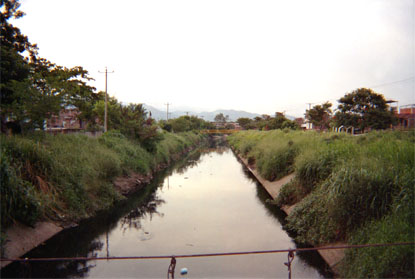 139-8.jpg