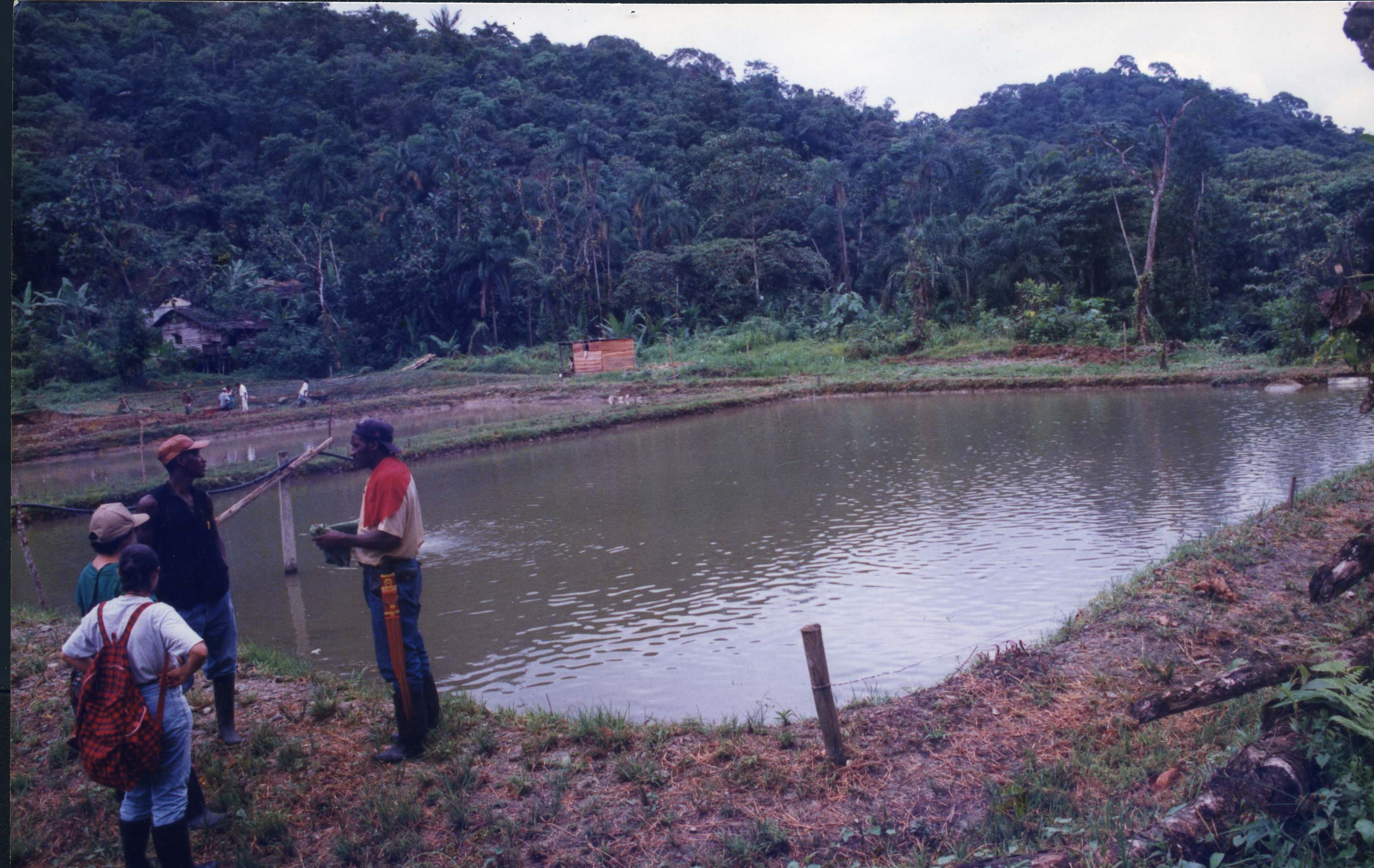 Fdo 011983.jpg