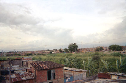 274-1.jpg
