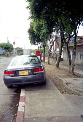 250-16.jpg