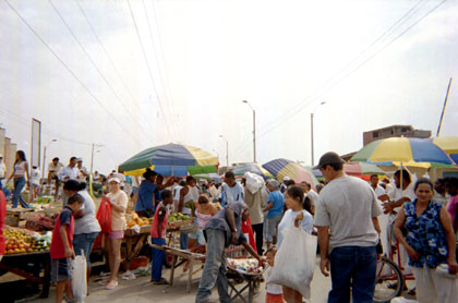 302-0.jpg