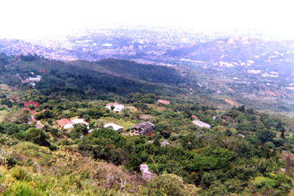 499-24.jpg